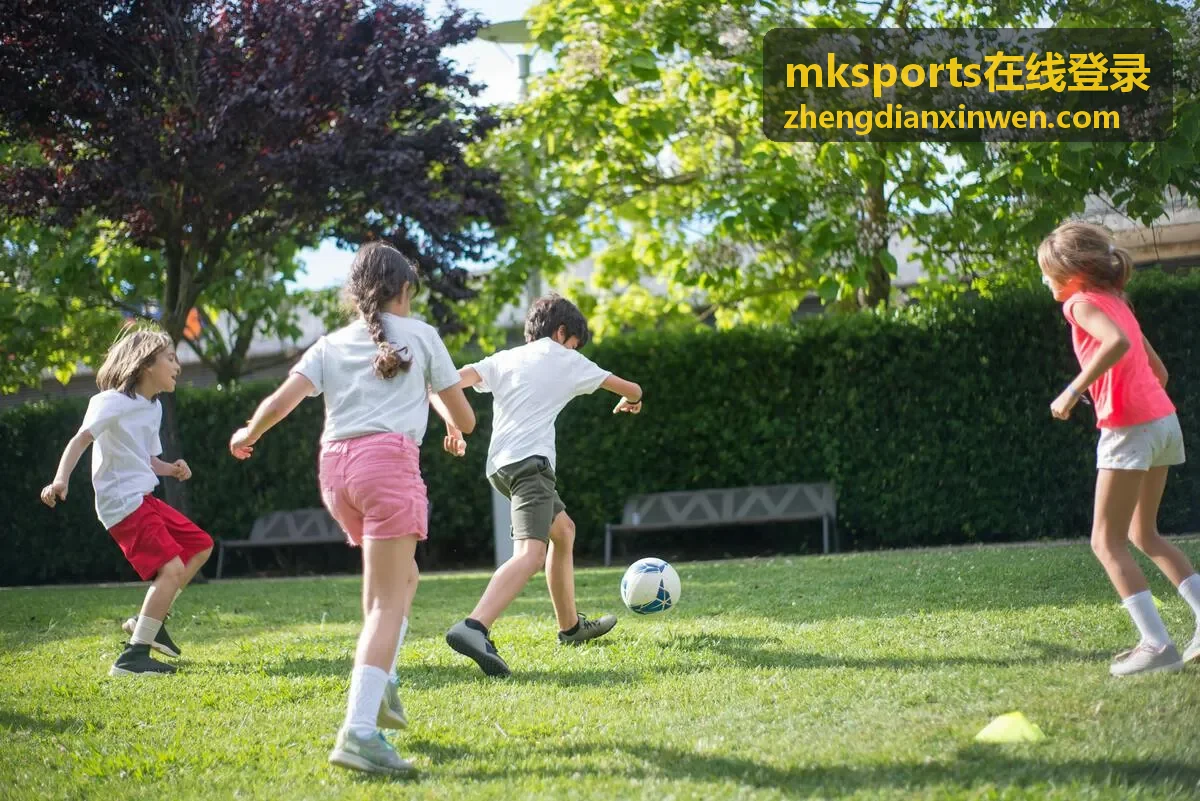 mksports在线登录 功能状态检查步骤示意
