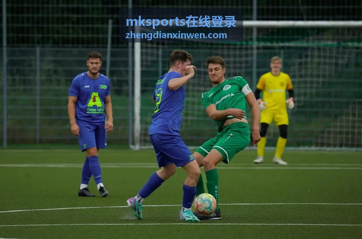 mksports在线登录 个人中心功能封面